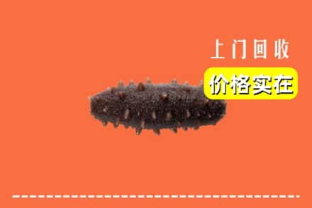 景德镇市昌江回收海参